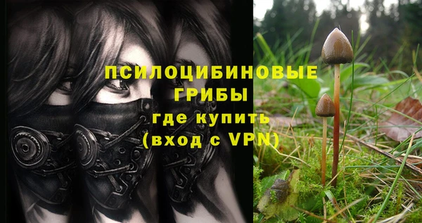 экстази Алзамай