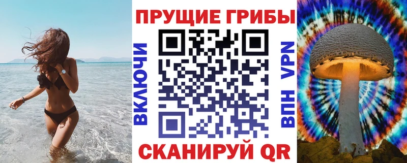 Псилоцибиновые грибы MAGIC MUSHROOMS  блэк спрут как зайти  Петровск-Забайкальский 